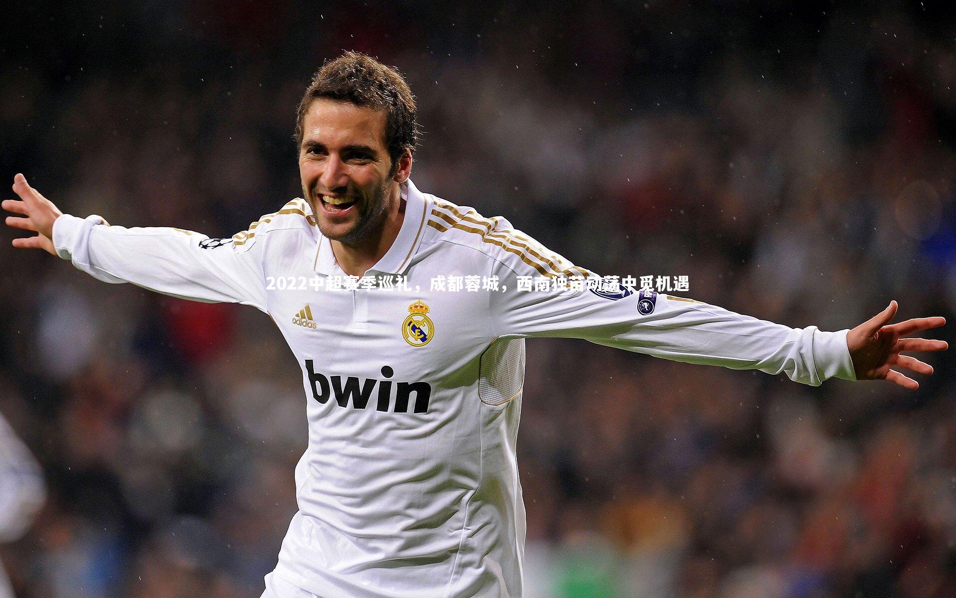 2022中超赛季巡礼，成都蓉城，西南独苗动荡中觅机遇